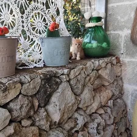 Alba Bed & Breakfast Melendugno