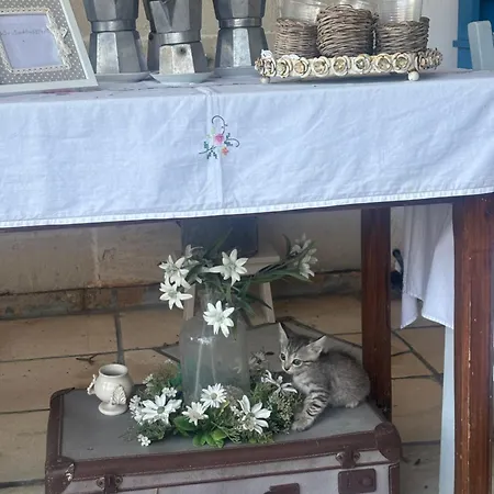 Alba Bed & Breakfast 3*