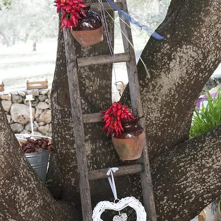 Alba Bed and breakfast Melendugno