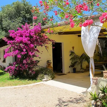 Bed and breakfast Alba